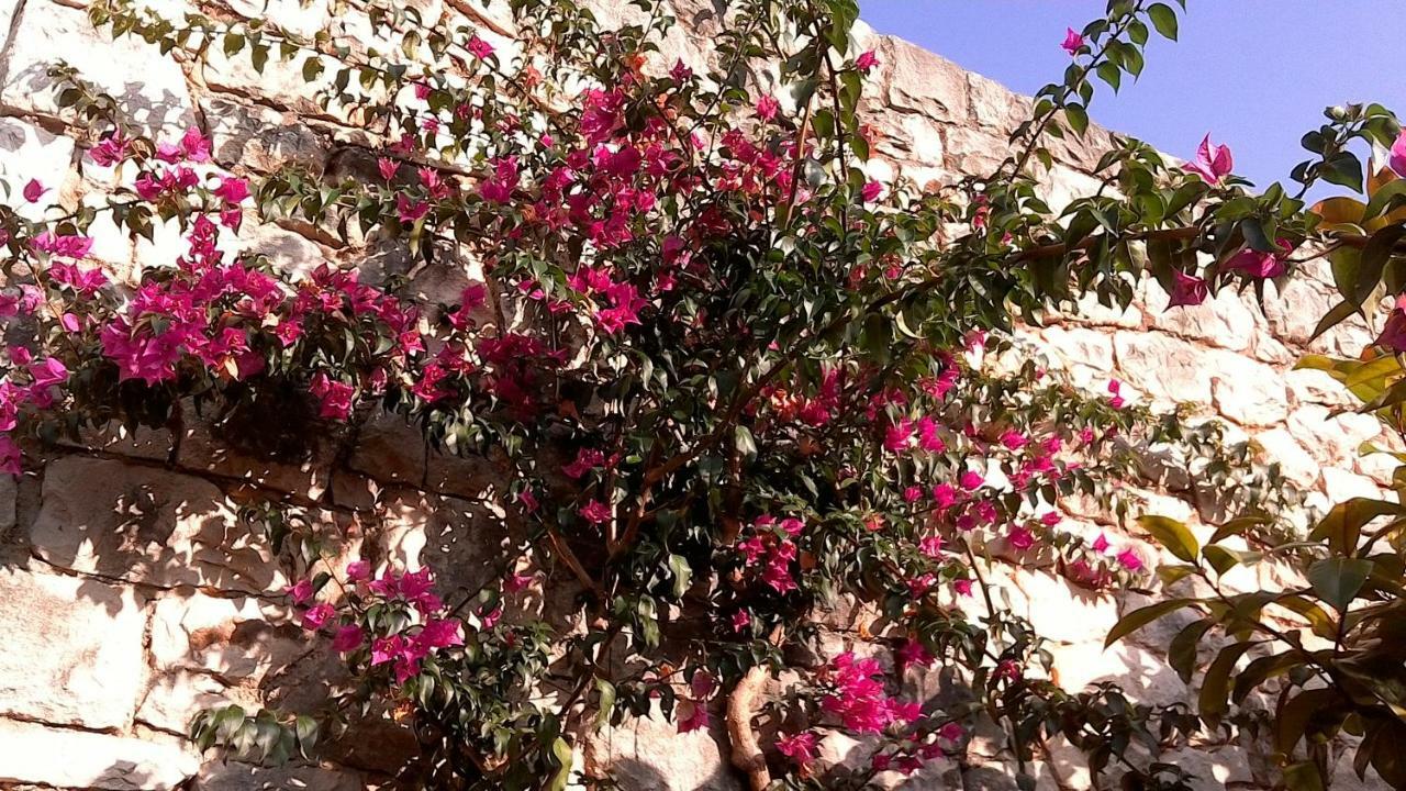 Apartment M&J سوبيتار المظهر الخارجي الصورة